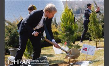 آیین کاشت درخت صلح و دوستی 34