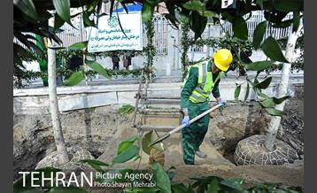 آیین کاشت 40 اصله درخت، به مناسبت چهلمین سالگرد انقلاب اسلامی باحضور شهردار تهران 37