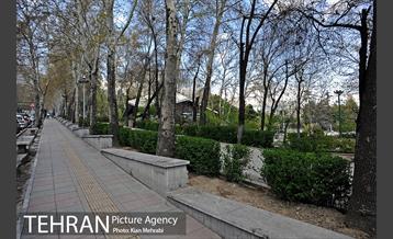 بوستان نیاوران 33