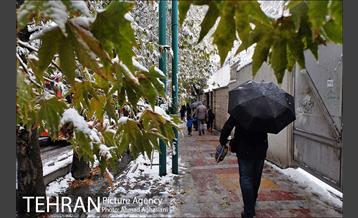 بارش اولین برف پاییزی در تهران 15