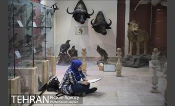 موزه طبیعت و حیات وحش ایران دارآباد‎ 6