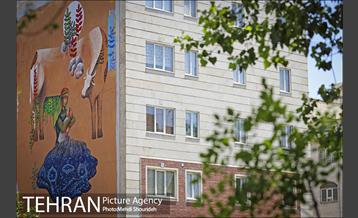 دیوارهای چشم نواز در منطقه 7