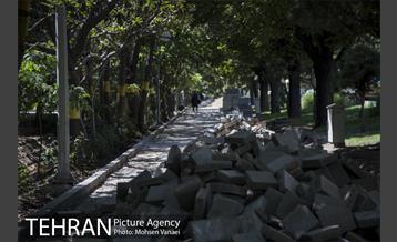 بلوار کشاورز 11