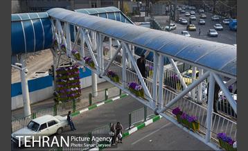 گل آرایی پل سیدخندان 7