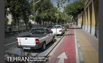 پارک خودرو‌ بین درختان چنار 1