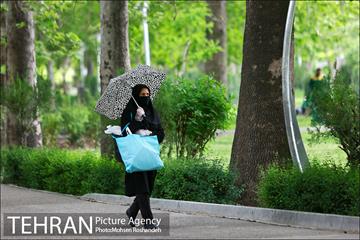 اردیبهشت بارانی پایتخت 3
