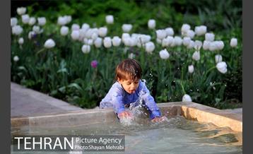 باغ ایرانی (بوستان مهندس مختاری) 12