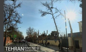 رکابزنی ‌پیروز حناچی و شهرداران کلانشهرها تا دفتر جهانگیری 41