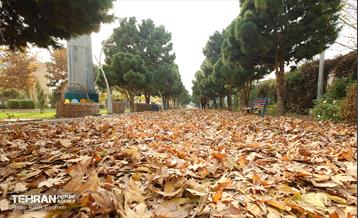 گذرگاه های پاییزی پایتخت - منطقه 13