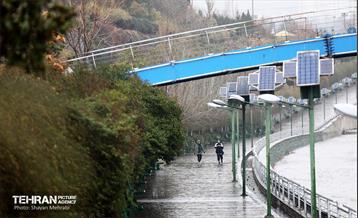 بارش باران زمستانی در تهران 27