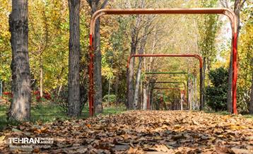 سمفونی رنگ های پاییزی - بوستان اندیشه 3