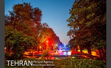 طبیعت پاییزی پارک شهر 23