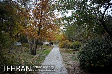 باغ گیاه‌شناسی ملی ایران 32