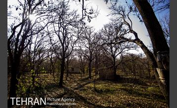 کوچه باغ های محله کن 39