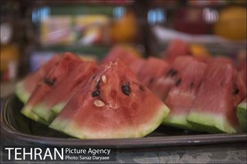 شب چله در مددسرای بانوان آفتاب نیلوفری 15