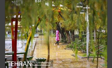 حال و هوای بارانی میدان هفت حوض  4