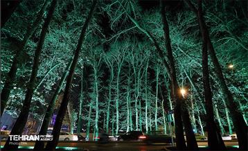 زیبا شهر 2 28