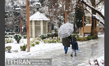 روز برفی تهران در پارک شهر 8