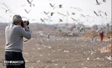 تور بازدید عکاسان از مجتمع آرادکوه 14