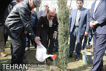 آیین درختکاری در پارک لاله 7
