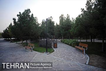 بوستان نهج البلاغه (فاز2) 12