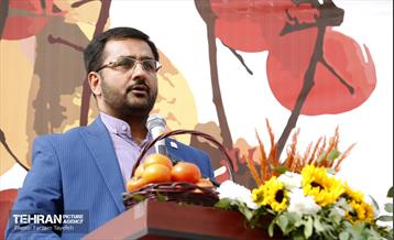 پنجمین جشنواره خرمالوی کن 16