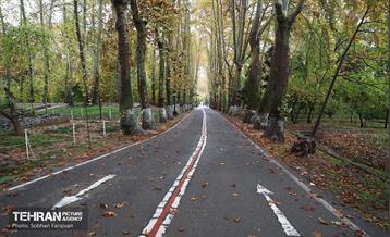 طبیعت پاییزی مجموعه فرهنگی تاریخی سعدآباد  26