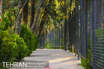 طبیعت پاییزی بوستان فدک 25