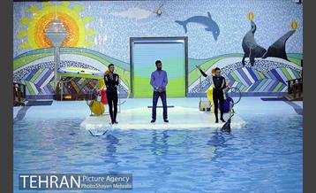 دلفیناریوم برج میلاد 4