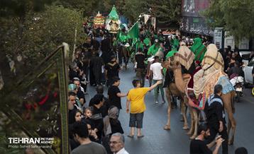 ورود نمادین کاروان امام حسین‌(ع) به کربلا 8