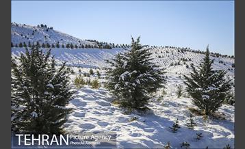 طبیعت برفی تلو 3