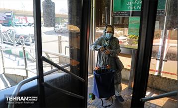 سریع، ارزان، قرمز 31