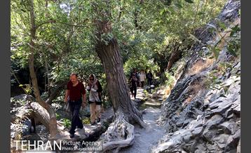 آخر هفته در ارتفاعات درکه 26