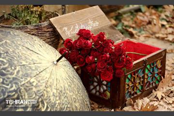 یلدا در قاب کیانشهر 37