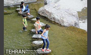 بوستان جمشیدیه 19