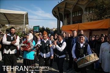 کارناوال شادی شهرداری تهران 6
