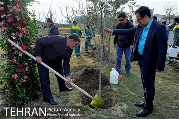 روز درختکاری در گنبد مینا 1