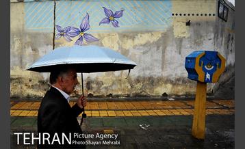 بارش باران بهاری در تهران  3