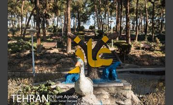 پارک ساعی 12