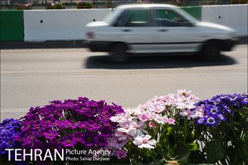 گل آرایی پل سیدخندان 31