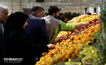 بازدید مدیرعامل سازمان تره‌وبار از میادین میوه 14