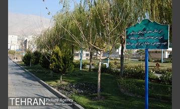 بوستان ارغوان مخصوص معلولین 1