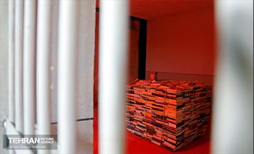 باغ موزه قصر (زندان سیاسی)‎ 14