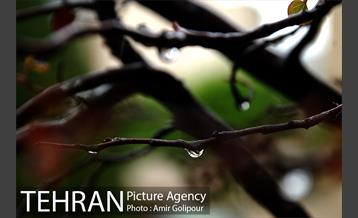 تهران بهاری 6