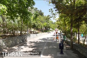 بوستان بهشت مادران 7