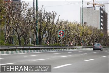 روز طبیعت متفاوت در شهر تهران 2 10