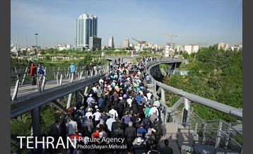 همایش پیاده روی خانوادگی کارکنان شهرداری 18