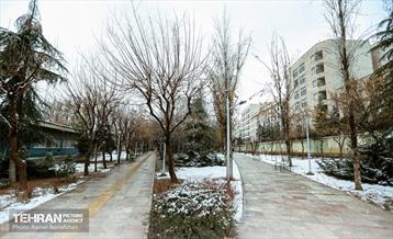 روز برفی در منطقه 8 19