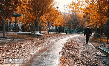 گذرگاه های پاییزی پایتخت - منطقه 9