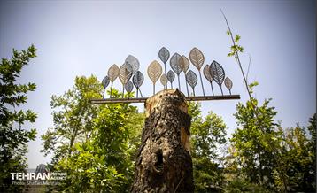 جان دوباره در درختستان 28